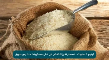 تراجع 3 سنوات.. أسعار الأرز تنخفض إلى أدنى مستويات منذ زمن طويل